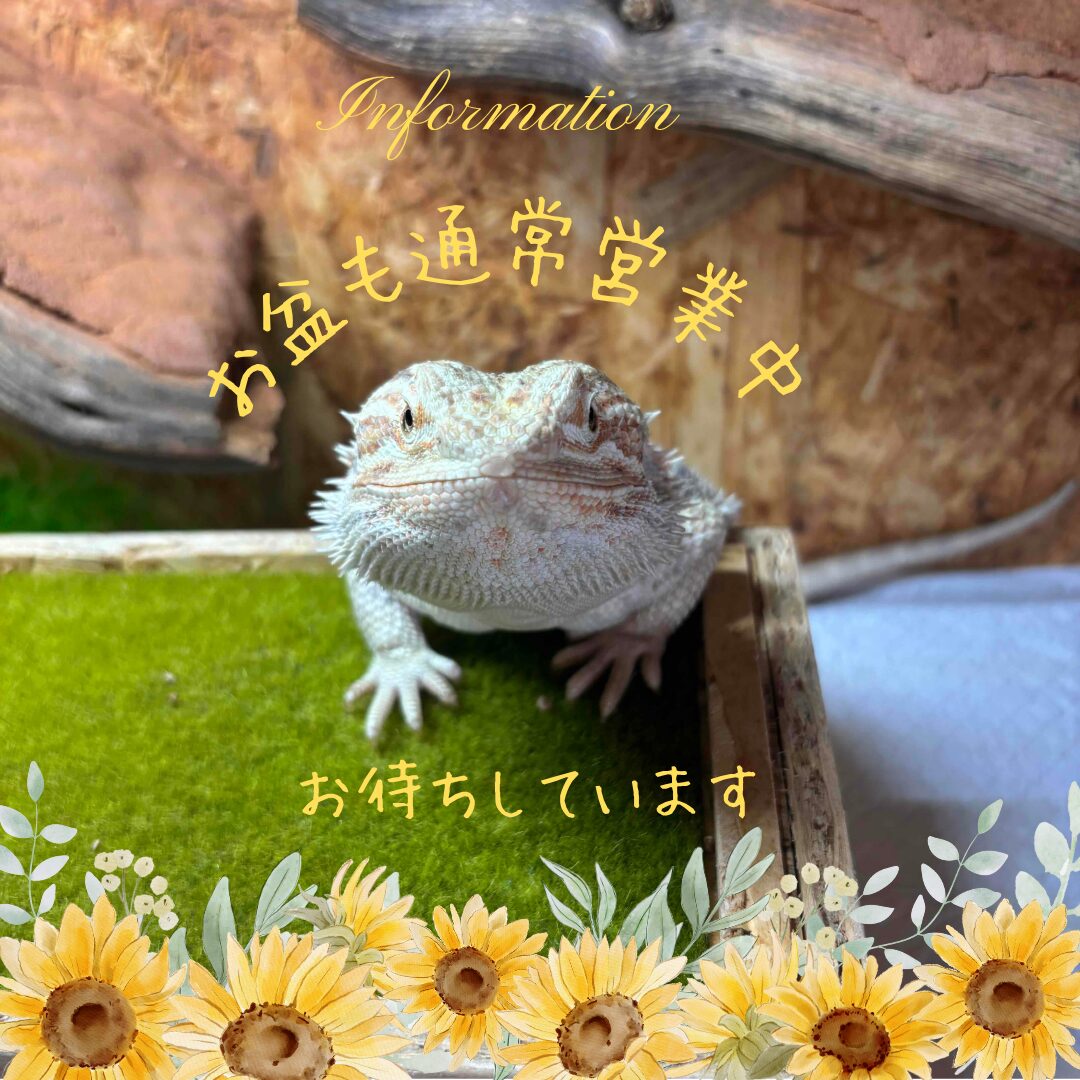 お盆期間の営業のサムネイル