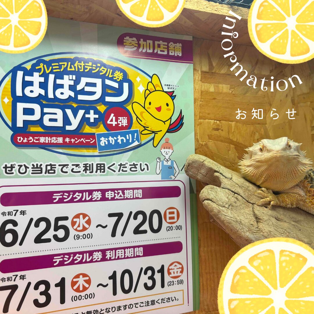 はばタンPay＋✨第４弾「おかわり」使えますのサムネイル
