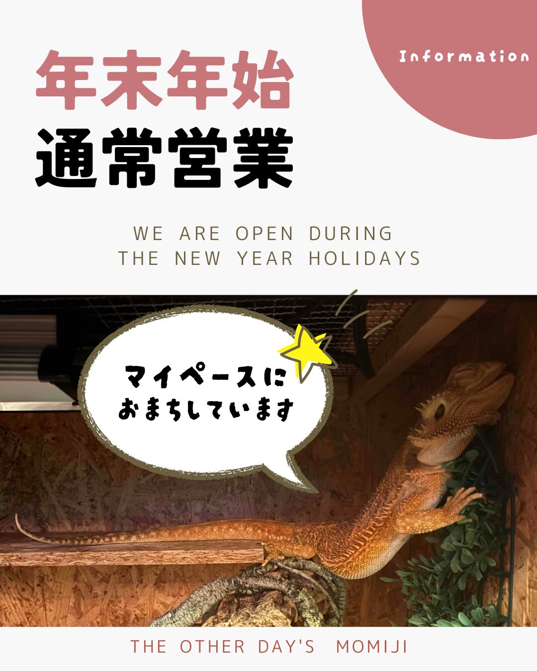 年末年始の営業について🌙のサムネイル
